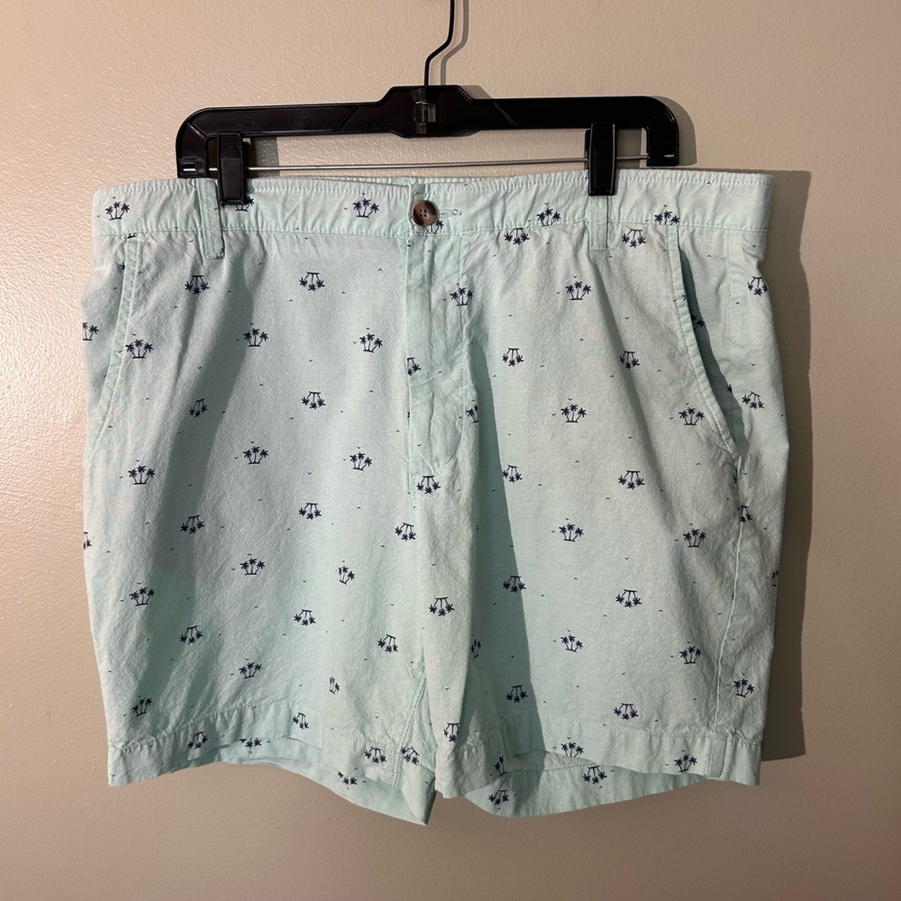 Crown & Ivy Mint Green Patterned Men's Flat Front Shorts